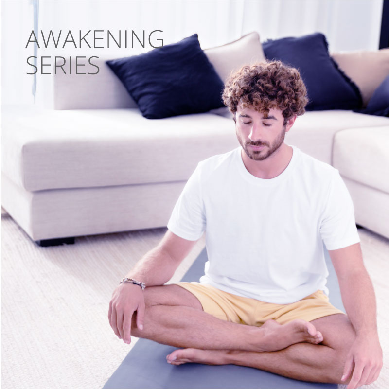 soul dimension website pictures