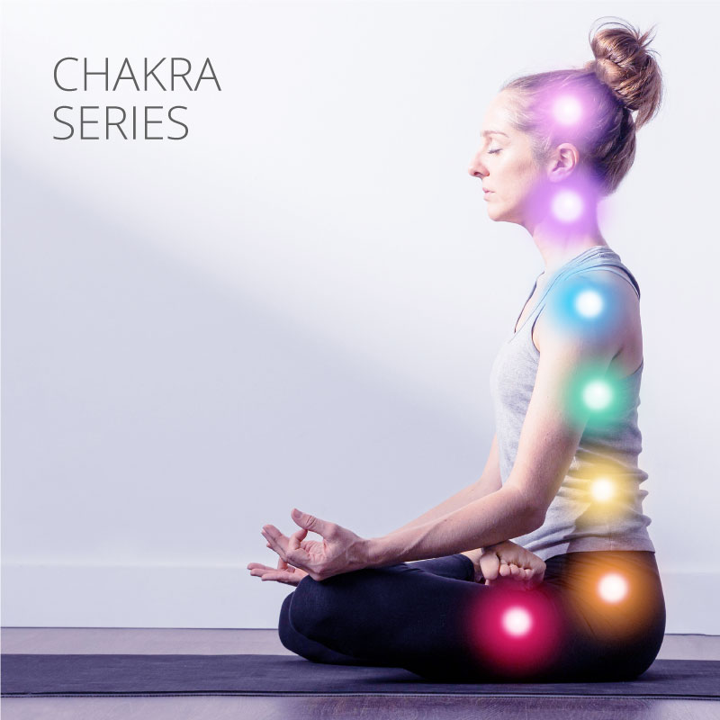 soul dimension website pictures13